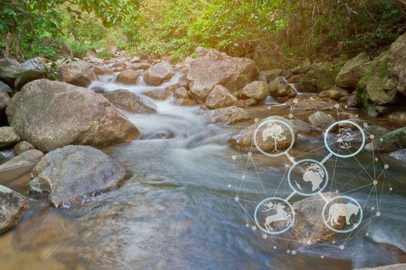 12 Facts About Rivers